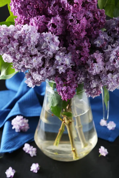 Kvetoucí šeříkové květy — Stock fotografie