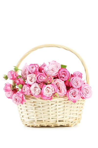 Beautiful pink roses in basket — Stock Photo, Image