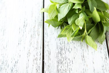 fesleğen yapraklarını beyaz