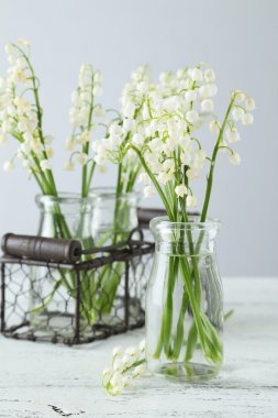 Lily vadi şişelerde