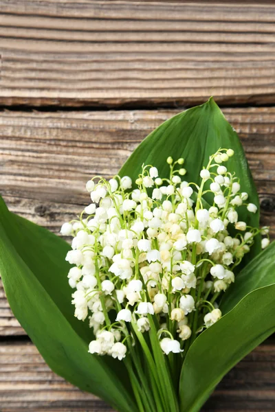 Lily of the Valley with leaves — Stock Photo, Image