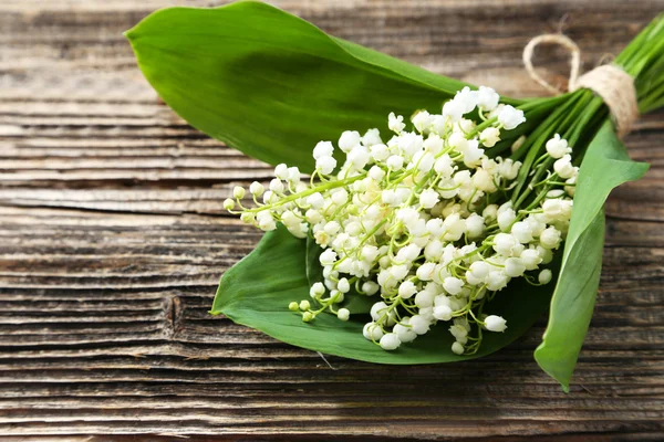 Lily of the Valley with leaves — Stock Photo, Image