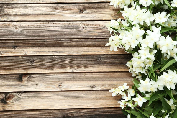 Flores blancas de jazmín — Foto de Stock