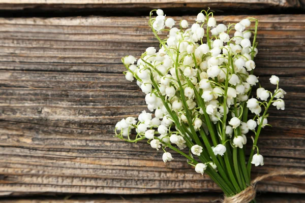 Lily of the Valley — Stock Photo, Image