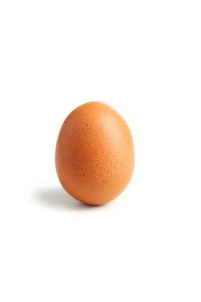 Brown chicken egg — Stock Photo, Image