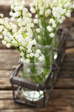 Lily vadi şişelerde