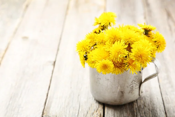 Yellow dandelion flowers — Stock Photo, Image