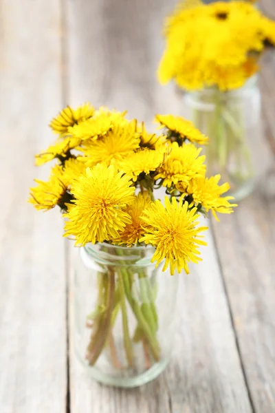 Yellow dandelion flowers — Stock Photo, Image