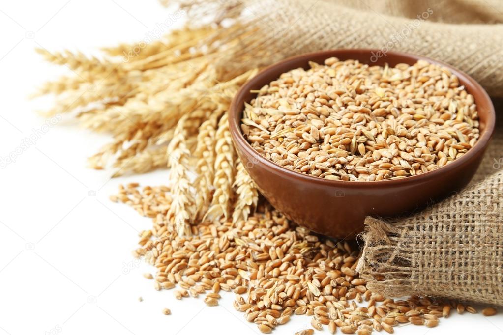 Ears of wheat and bowl of wheat grains on white background