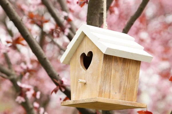 Birdhouse visí na stromě — Stock fotografie