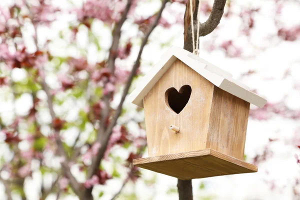 Nesten vak opknoping op de boom — Stockfoto