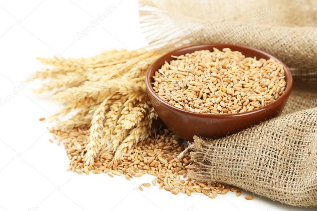 Ears of wheat and bowl of wheat grains