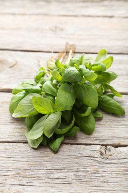 Yeşil fesleğen yaprağı