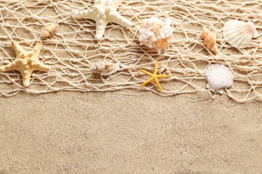 Sea shells in a fishing net