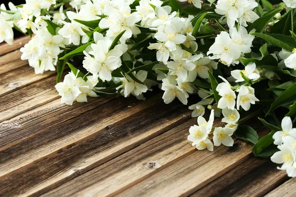 Flores brancas de jasmim — Fotografia de Stock