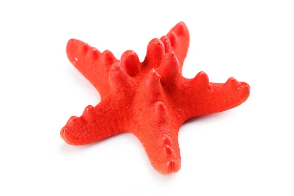 Red starfish close up — Stock Photo, Image