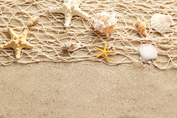 Sea shells in a fishing net — Stockfoto