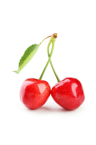 Cerejas frescas maduras — Fotografia de Stock