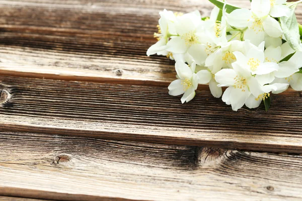 Flores brancas de jasmim — Fotografia de Stock