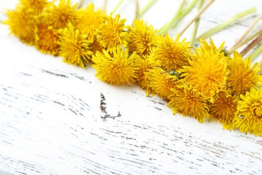 Ahşap zemin üzerine sarı karahindiba