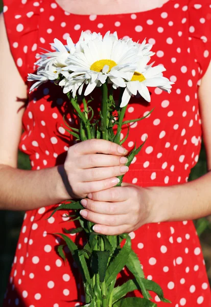 Mujer sosteniendo manzanillas flores — Foto de Stock