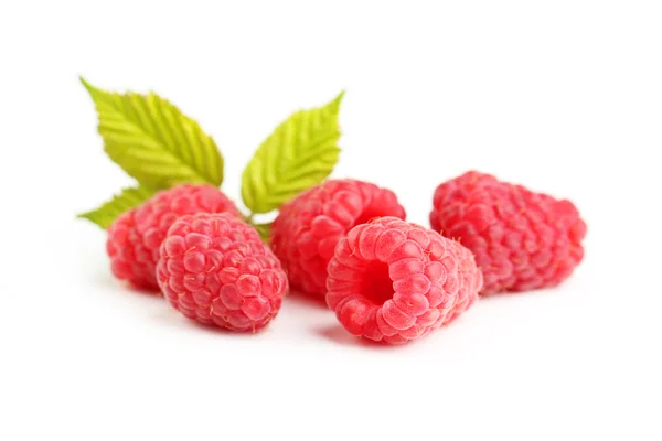 Red raspberries isolated on a white — Stock Photo, Image