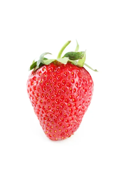 Φράουλα μούρο απομονωθεί — Φωτογραφία Αρχείου