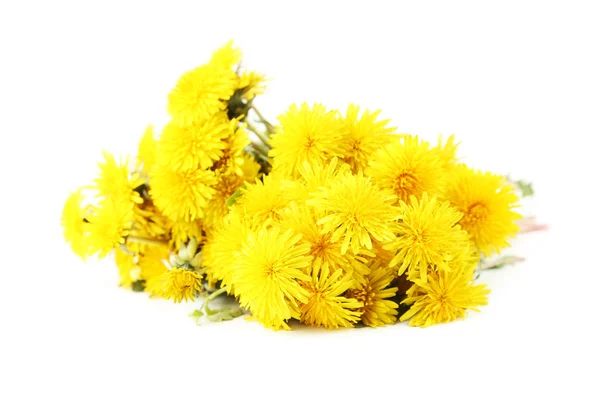 Yellow dandelions flowers — Stock Photo, Image