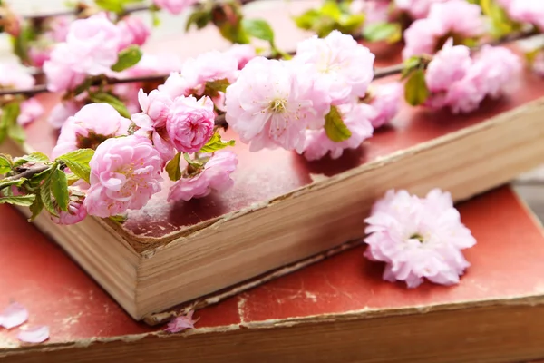 Spring flowering branches with old books — Stock Photo, Image