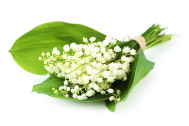 Lily vadi yaprakları ile