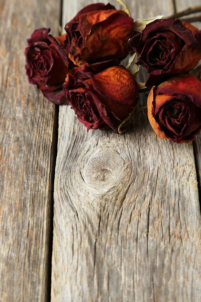 Sušené červené růže — Stock fotografie