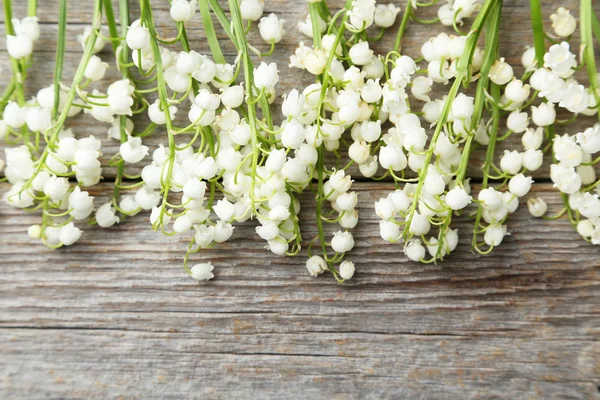 Maiglöckchen auf grau — Stockfoto