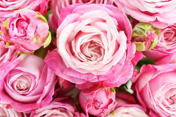 Rózsaszín rózsa háttér — Stock Fotó
