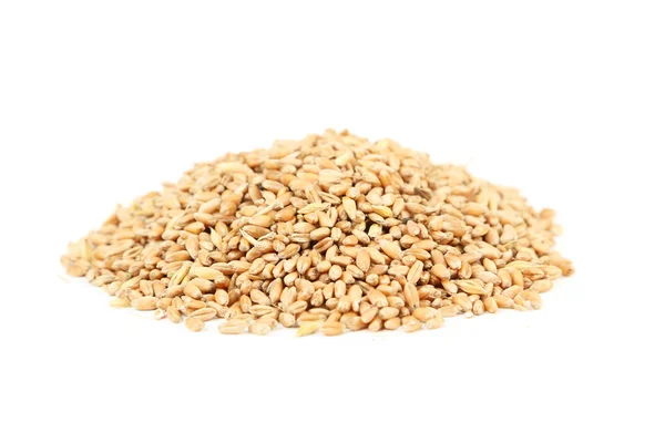 Пшеничні зерна на білому тлі — стокове фото