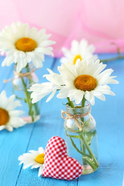 Flores de camomila em garrafa — Fotografia de Stock