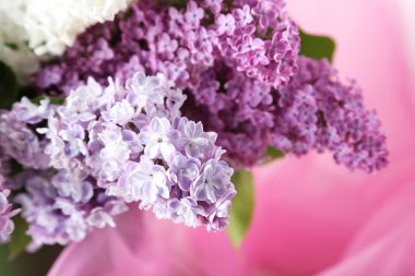 Eflatun çiçekler çok güzel