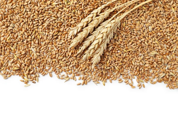 Wheat grains on a white background — Stock Photo, Image