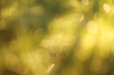 Güzel bokeh arkaplanı