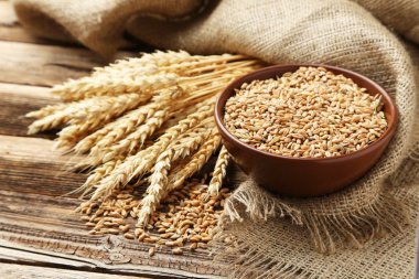 Ears of wheat and bowl of wheat grains clipart