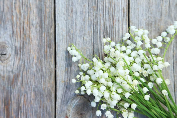 Blooming Lily of the Valley flowers — Stock Photo, Image