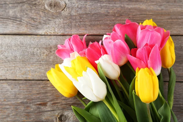 Beautiful colorful tulips — Stock Photo, Image