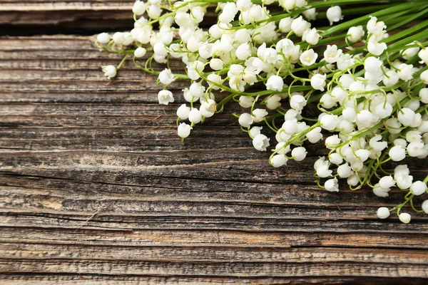 Blooming Lily of the Valley flowers — Stock Photo, Image