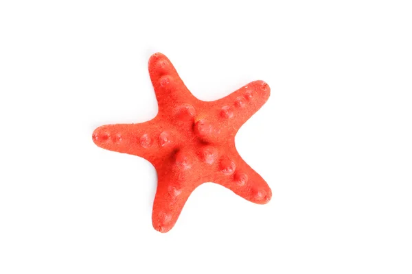 Red single starfish — Stock Photo, Image