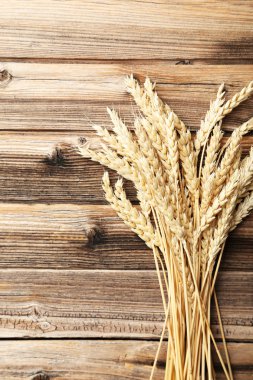 Kulakları buğday masada