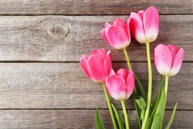 Tablo üzerinde pembe laleler