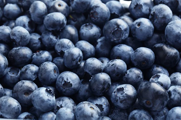 Blaubeeren Hintergrund, Nahaufnahme — Stockfoto