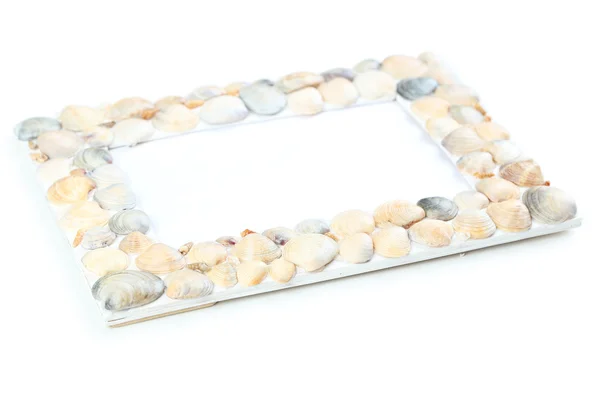 Frame of sea shells — Stock Photo, Image