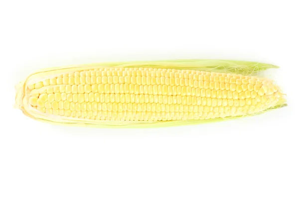 Mazorca de maíz cruda —  Fotos de Stock