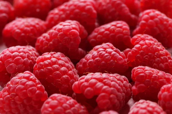 Red raspberry background Stock Photo