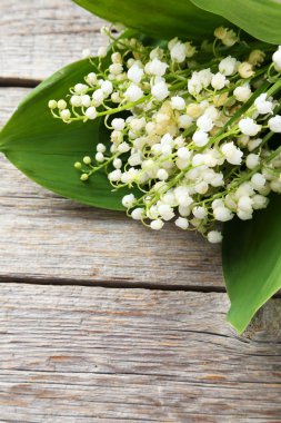 çiçek açan vadideki zambak çiçekler